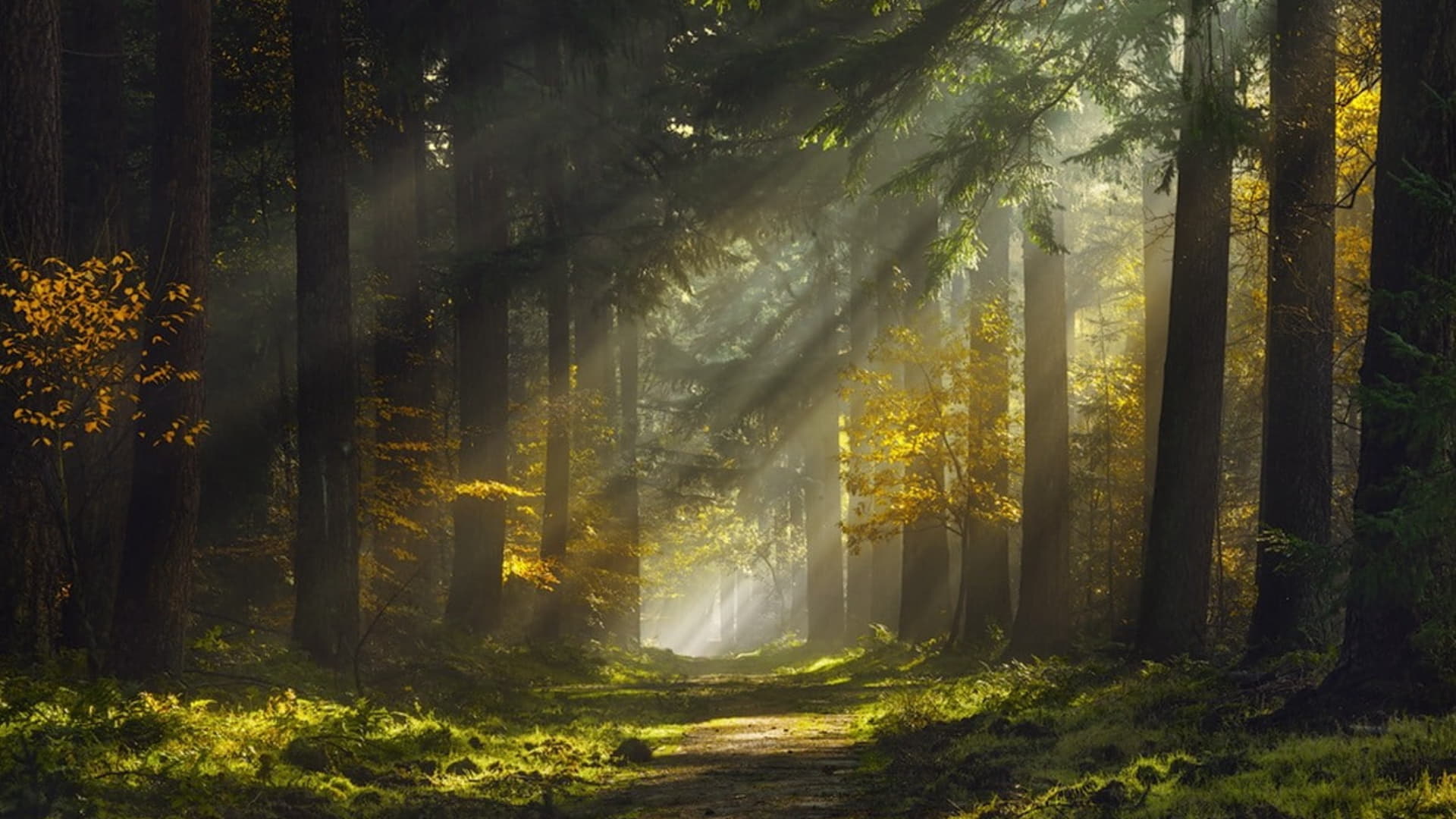 Sadržaj Post type 4